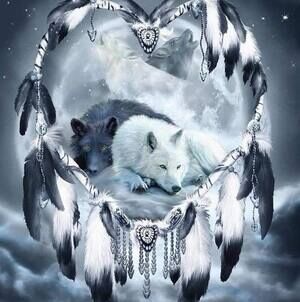 Meet your Posher, John mark